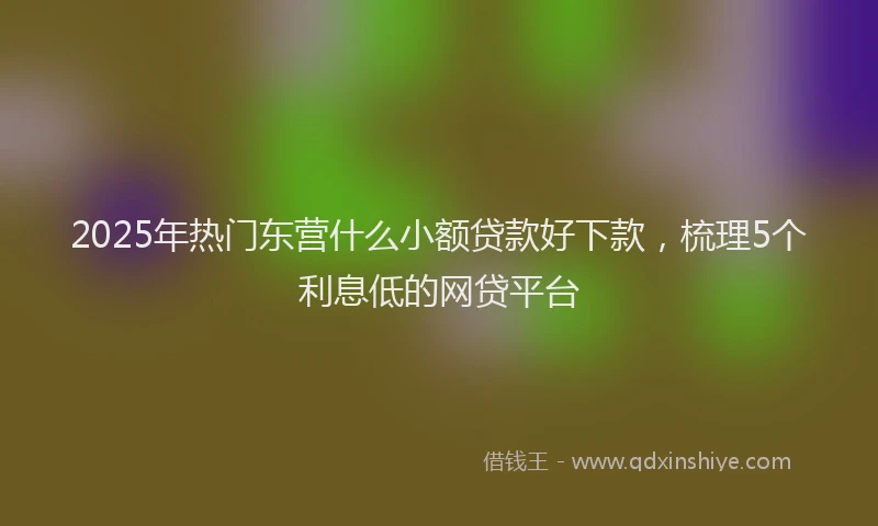 2025年热门东营什么小额贷款好下款，梳理5个利息低的网贷平台