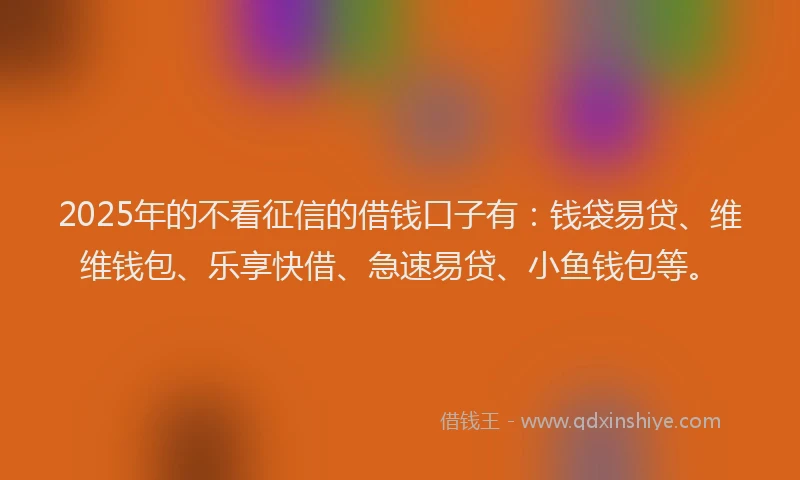 2025年的不看征信的借钱口子有：钱袋易贷、维维钱包、乐享快借、急速易贷、小鱼钱包等。