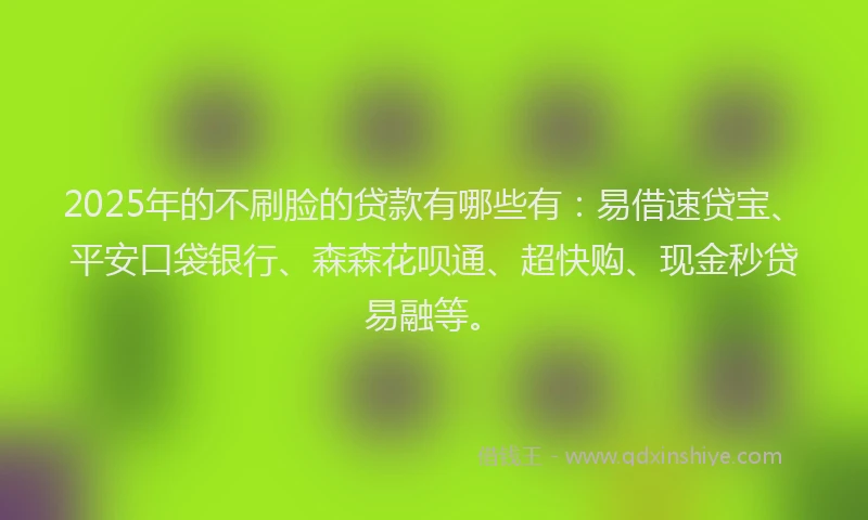 2025年的不刷脸的贷款有哪些有：易借速贷宝、平安口袋银行、森森花呗通、超快购、现金秒贷易融等。