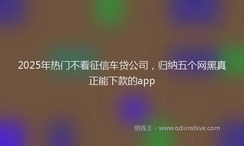 2025年热门不看征信车贷公司，归纳五个网黑真正能下款的app