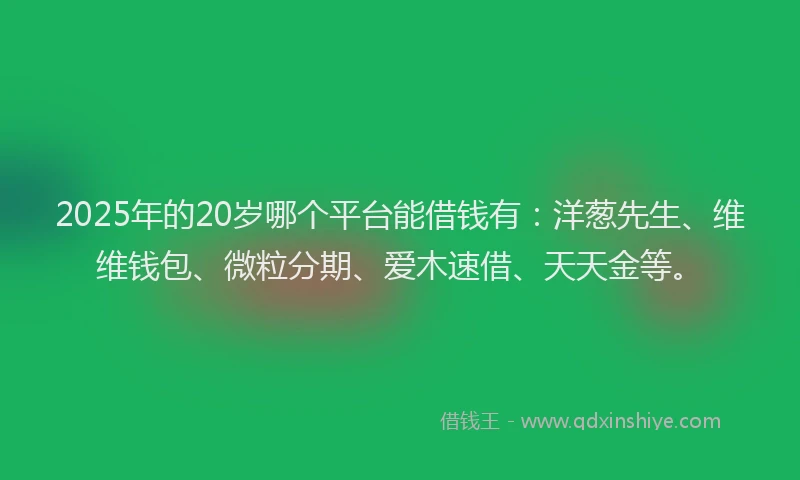2025年的20岁哪个平台能借钱有：洋葱先生、维维钱包、微粒分期、爱木速借、天天金等。