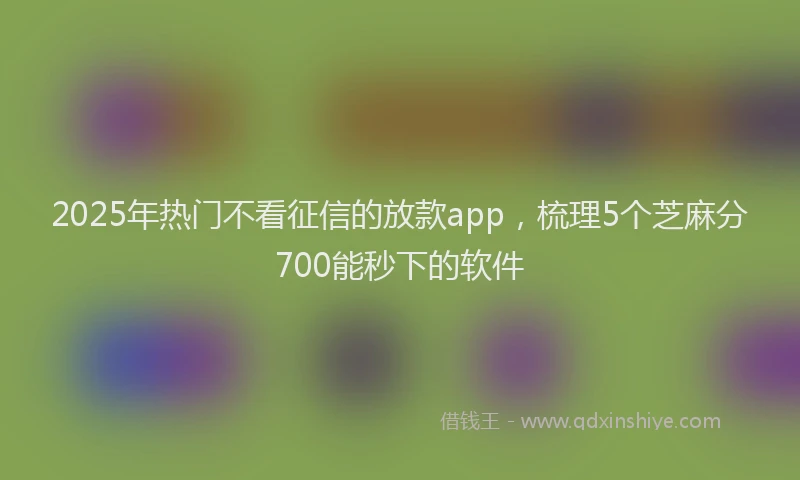 2025年热门不看征信的放款app，梳理5个芝麻分700能秒下的软件