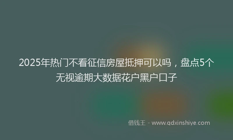 2025年热门不看征信房屋抵押可以吗，盘点5个无视逾期大数据花户黑户口子