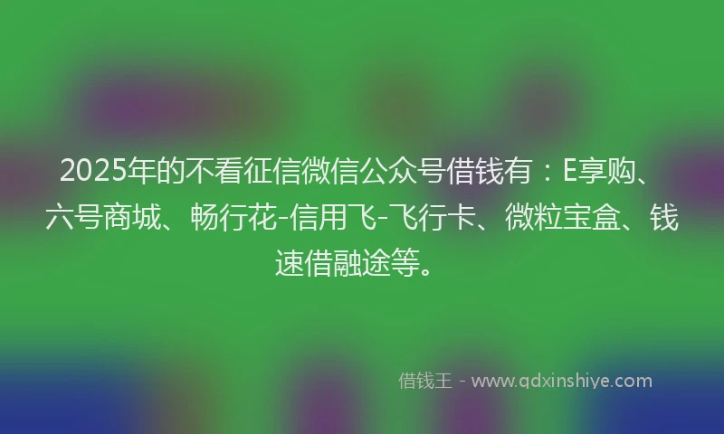 2025年的不看征信微信公众号借钱有：E享购、六号商城、畅行花-信用飞-飞行卡、微粒宝盒、钱速借融途等。