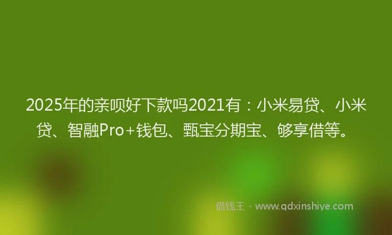 2025年的亲呗好下款吗2021有：小米易贷、小米贷、智融Pro+钱包、甄宝分期宝、够享借等。