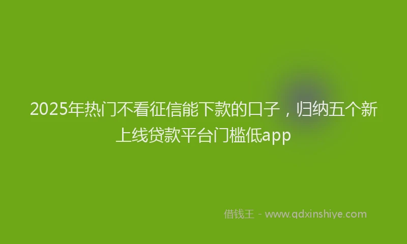 2025年热门不看征信能下款的口子，归纳五个新上线贷款平台门槛低app
