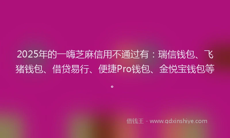 2025年的一嗨芝麻信用不通过有：瑞信钱包、飞猪钱包、借贷易行、便捷Pro钱包、金悦宝钱包等。