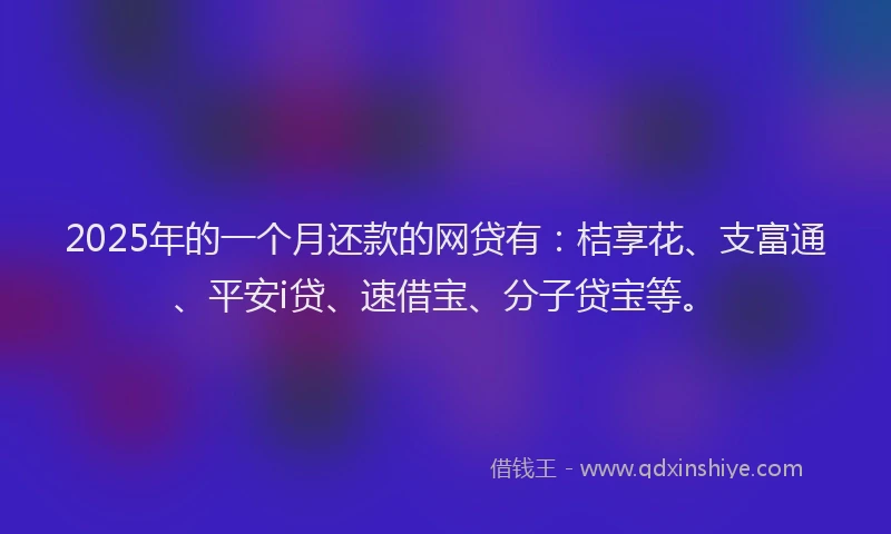 2025年的一个月还款的网贷有：桔享花、支富通、平安i贷、速借宝、分子贷宝等。