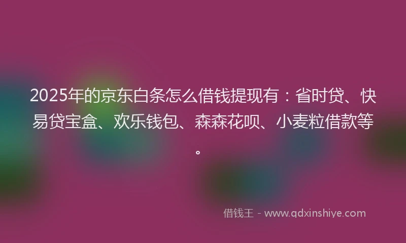2025年的京东白条怎么借钱提现有：省时贷、快易贷宝盒、欢乐钱包、森森花呗、小麦粒借款等。