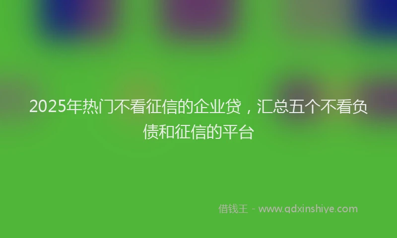2025年热门不看征信的企业贷，汇总五个不看负债和征信的平台