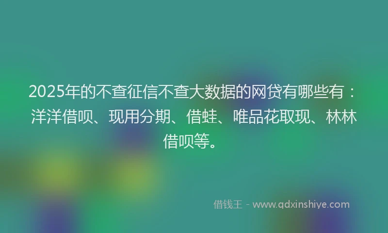 2025年的不查征信不查大数据的网贷有哪些有：洋洋借呗、现用分期、借蛙、唯品花取现、林林借呗等。