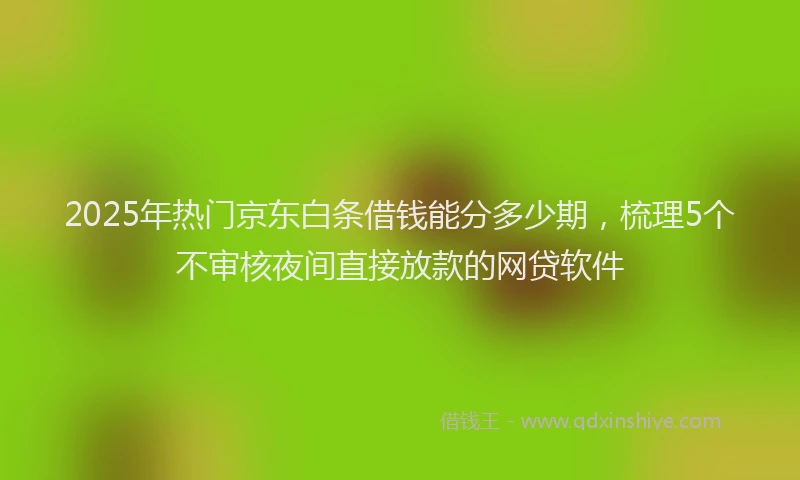 2025年热门京东白条借钱能分多少期，梳理5个不审核夜间直接放款的网贷软件