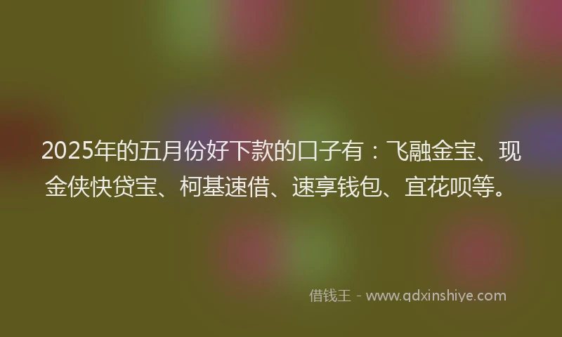 2025年的五月份好下款的口子有：飞融金宝、现金侠快贷宝、柯基速借、速享钱包、宜花呗等。