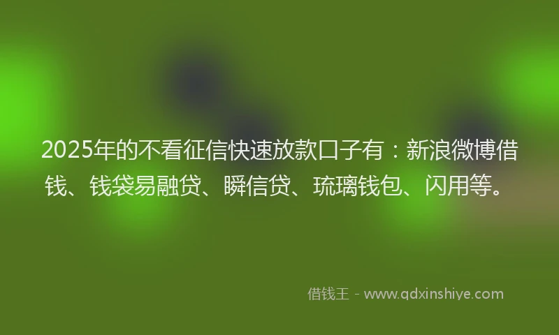 2025年的不看征信快速放款口子有：新浪微博借钱、钱袋易融贷、瞬信贷、琉璃钱包、闪用等。