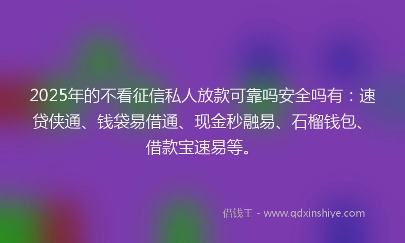 2025年的不看征信私人放款可靠吗安全吗有：速贷侠通、钱袋易借通、现金秒融易、石榴钱包、借款宝速易等。