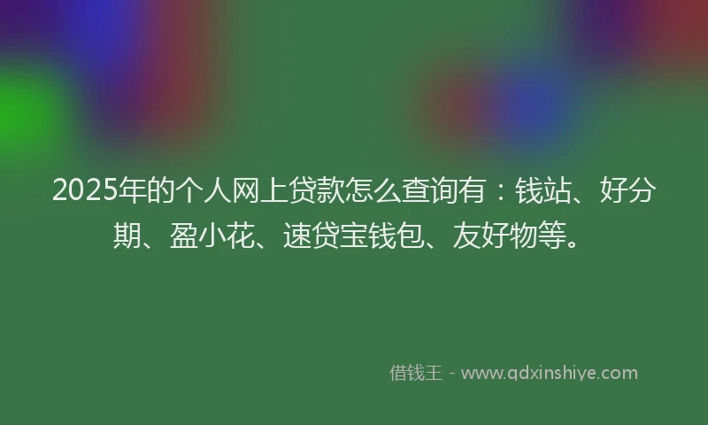 2025年的个人网上贷款怎么查询有：钱站、好分期、盈小花、速贷宝钱包、友好物等。
