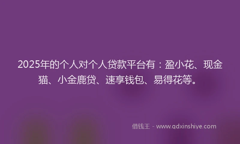 2025年的个人对个人贷款平台有：盈小花、现金猫、小金鹿贷、速享钱包、易得花等。