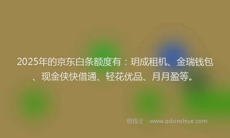2025年的京东白条额度有：玥成租机、金瑞钱包、现金侠快借通、轻花优品、月月盈等。