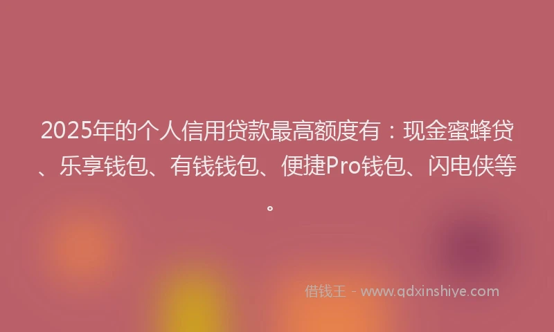 2025年的个人信用贷款最高额度有：现金蜜蜂贷、乐享钱包、有钱钱包、便捷Pro钱包、闪电侠等。