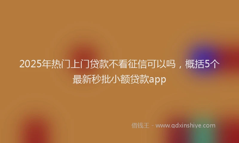 2025年热门上门贷款不看征信可以吗，概括5个最新秒批小额贷款app
