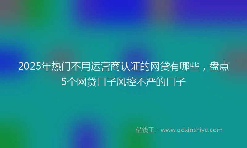 2025年热门不用运营商认证的网贷有哪些，盘点5个网贷口子风控不严的口子