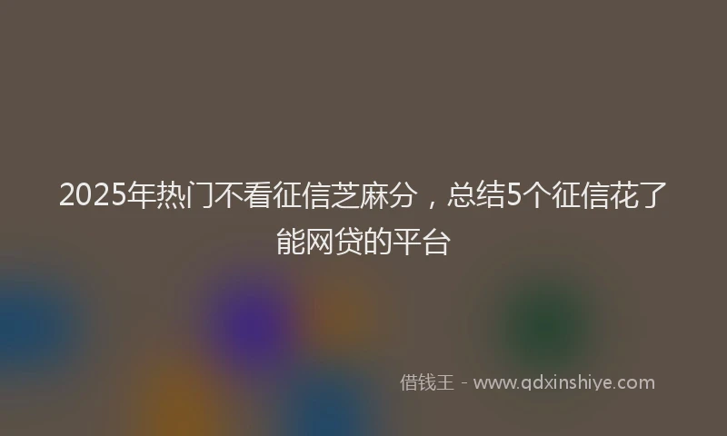 2025年热门不看征信芝麻分，总结5个征信花了能网贷的平台