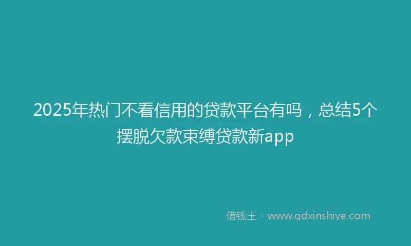 2025年热门不看信用的贷款平台有吗，总结5个摆脱欠款束缚贷款新app
