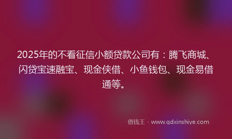 2025年的不看征信小额贷款公司有：腾飞商城、闪贷宝速融宝、现金侠借、小鱼钱包、现金易借通等。