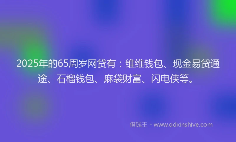 2025年的65周岁网贷有：维维钱包、现金易贷通途、石榴钱包、麻袋财富、闪电侠等。