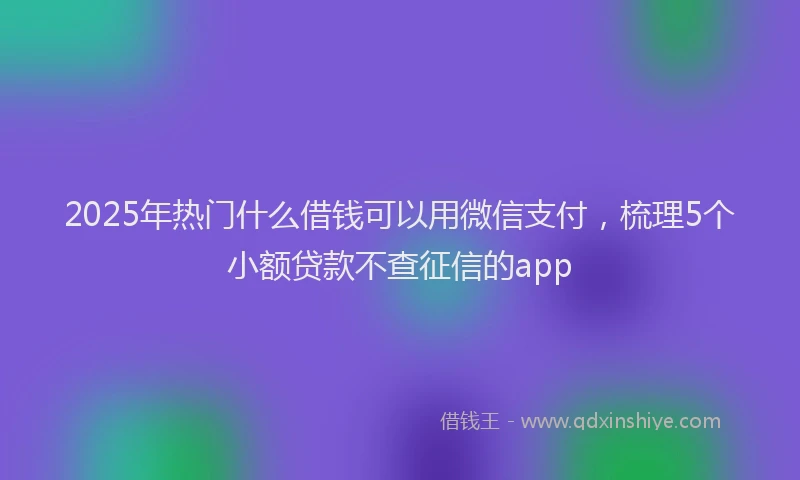 2025年热门什么借钱可以用微信支付，梳理5个小额贷款不查征信的app