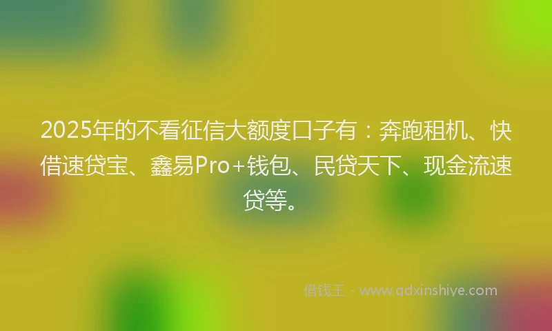 2025年的不看征信大额度口子有：奔跑租机、快借速贷宝、鑫易Pro+钱包、民贷天下、现金流速贷等。
