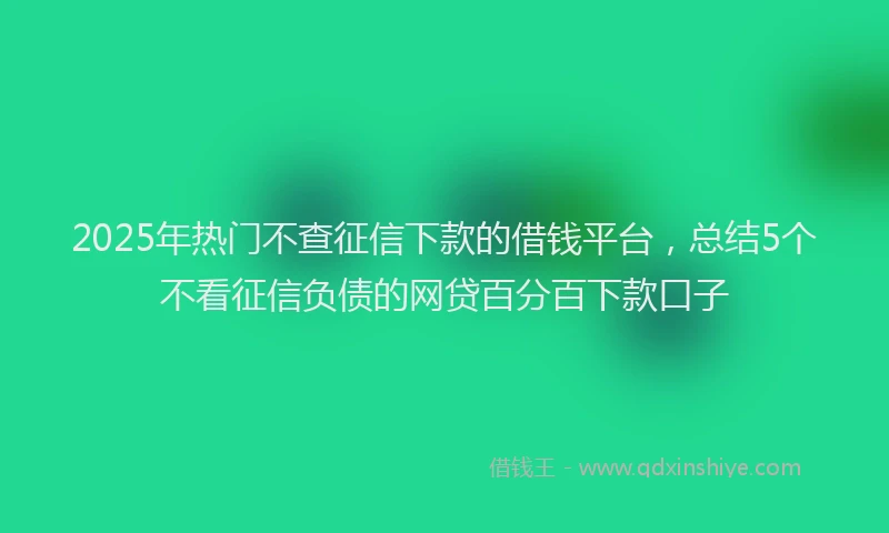 2025年热门不查征信下款的借钱平台，总结5个不看征信负债的网贷百分百下款口子