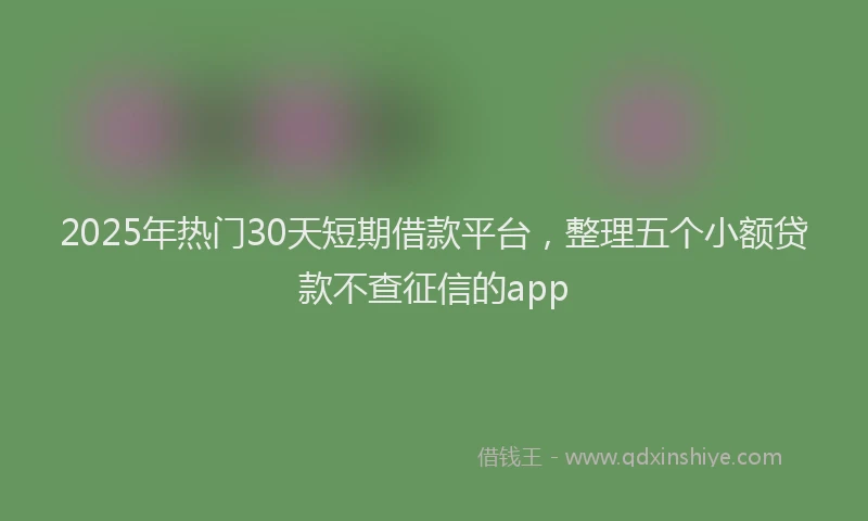2025年热门30天短期借款平台，整理五个小额贷款不查征信的app