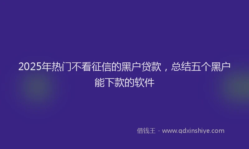 2025年热门不看征信的黑户贷款，总结五个黑户能下款的软件