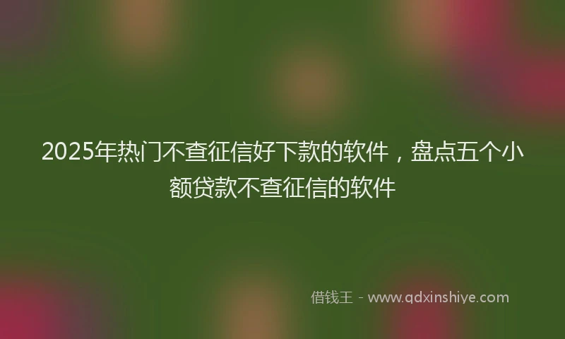2025年热门不查征信好下款的软件，盘点五个小额贷款不查征信的软件