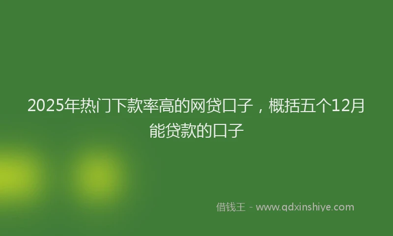2025年热门下款率高的网贷口子，概括五个12月能贷款的口子