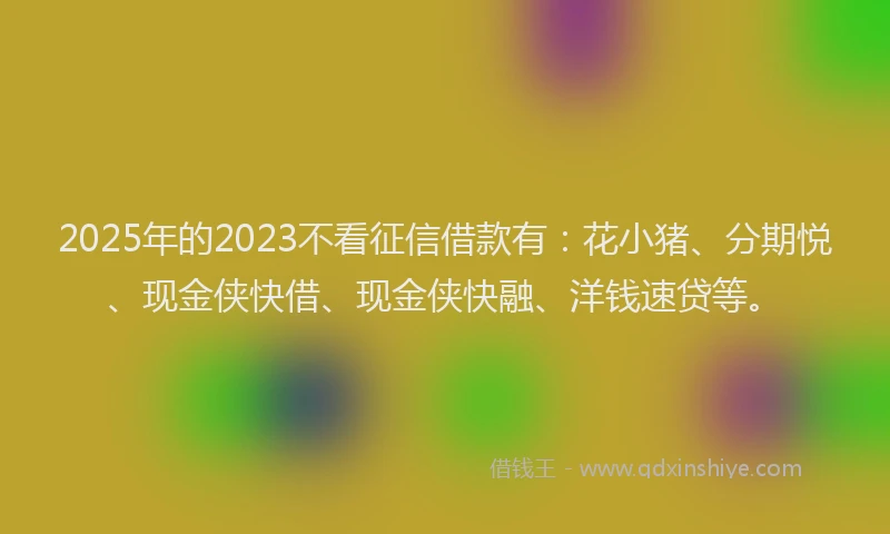 2025年的2023不看征信借款有：花小猪、分期悦、现金侠快借、现金侠快融、洋钱速贷等。