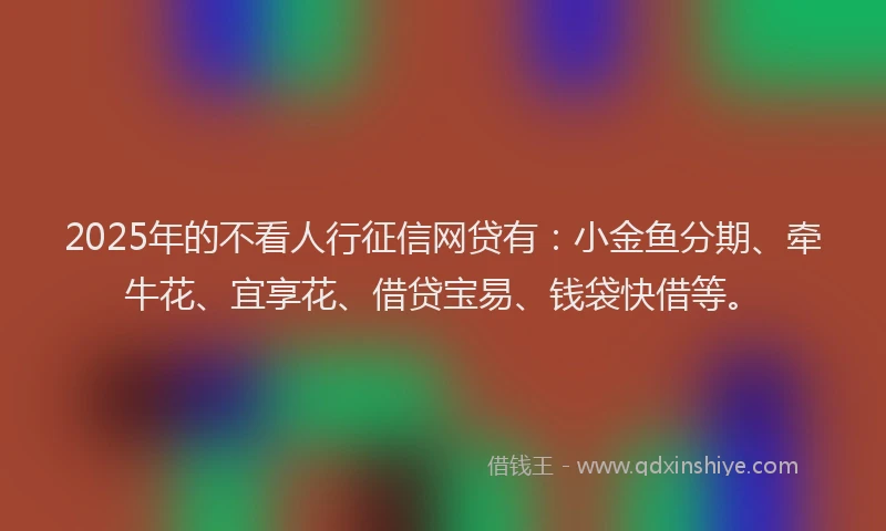 2025年的不看人行征信网贷有：小金鱼分期、牵牛花、宜享花、借贷宝易、钱袋快借等。