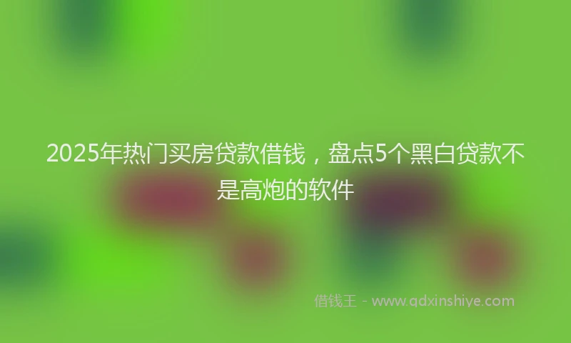 2025年热门买房贷款借钱，盘点5个黑白贷款不是高炮的软件