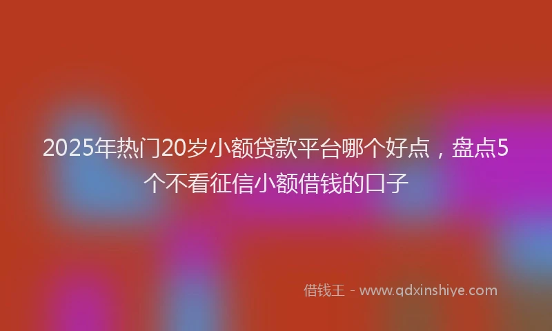 2025年热门20岁小额贷款平台哪个好点，盘点5个不看征信小额借钱的口子