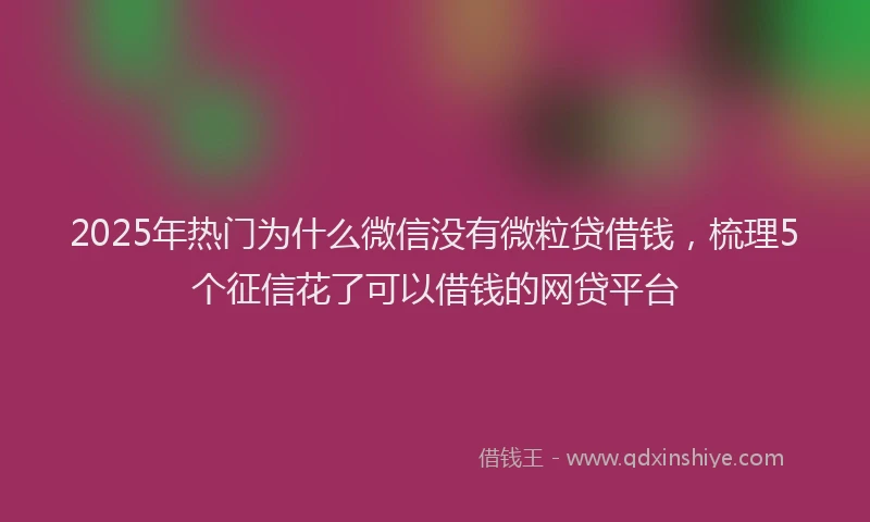 2025年热门为什么微信没有微粒贷借钱，梳理5个征信花了可以借钱的网贷平台