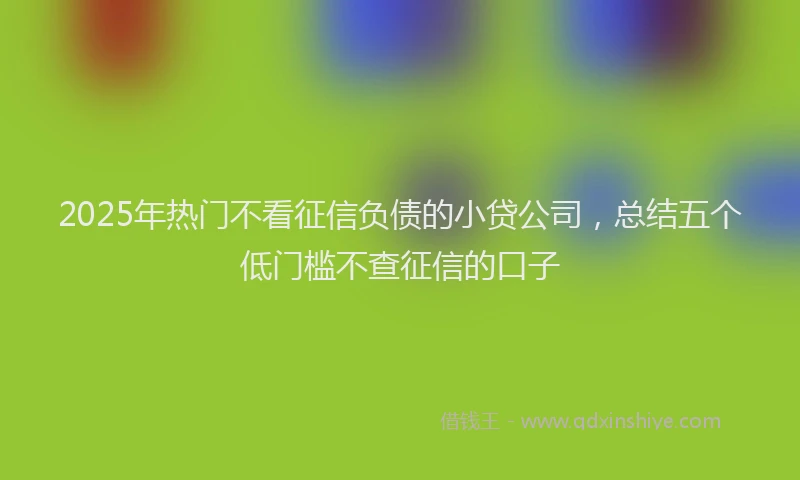 2025年热门不看征信负债的小贷公司，总结五个低门槛不查征信的口子