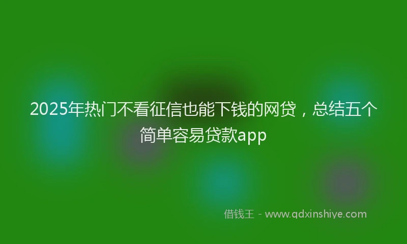 2025年热门不看征信也能下钱的网贷，总结五个简单容易贷款app
