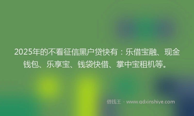 2025年的不看征信黑户贷快有：乐借宝融、现金钱包、乐享宝、钱袋快借、掌中宝租机等。