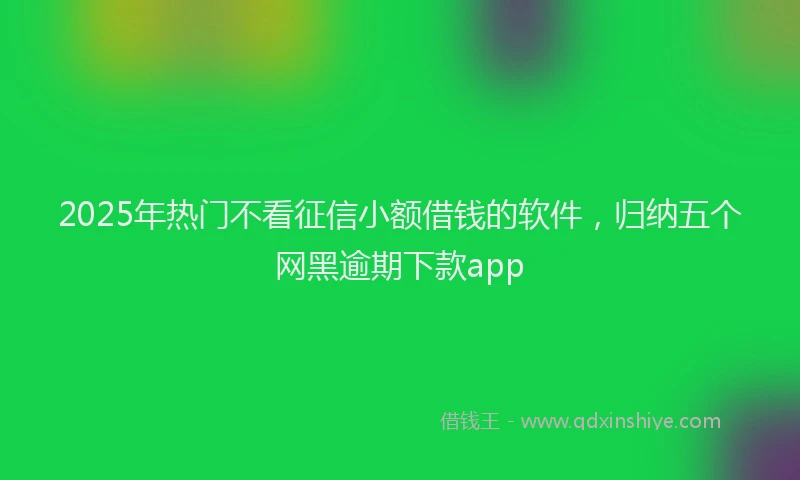 2025年热门不看征信小额借钱的软件，归纳五个网黑逾期下款app