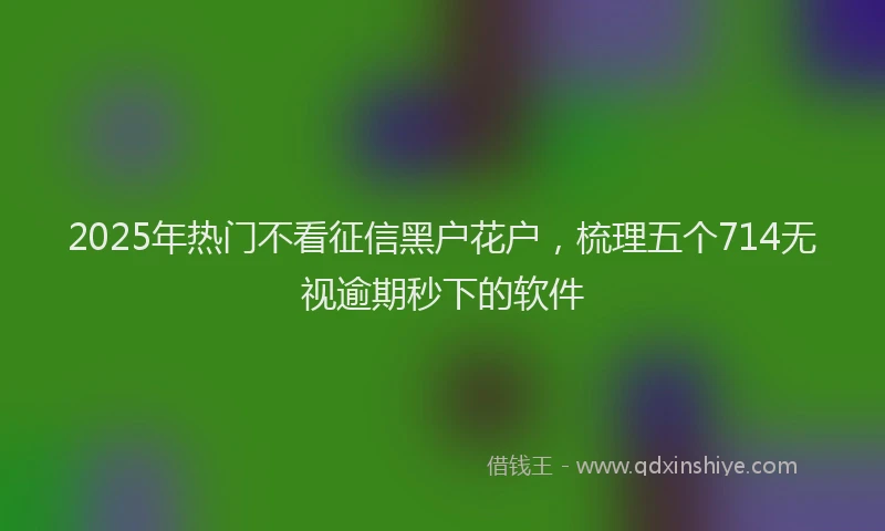 2025年热门不看征信黑户花户，梳理五个714无视逾期秒下的软件