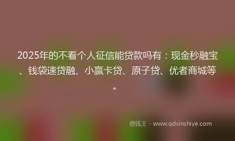 2025年的不看个人征信能贷款吗有：现金秒融宝、钱袋速贷融、小赢卡贷、原子贷、优者商城等。