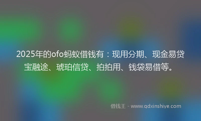 2025年的ofo蚂蚁借钱有：现用分期、现金易贷宝融途、琥珀信贷、拍拍用、钱袋易借等。