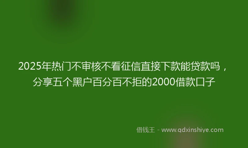 2025年热门不审核不看征信直接下款能贷款吗，分享五个黑户百分百不拒的2000借款口子