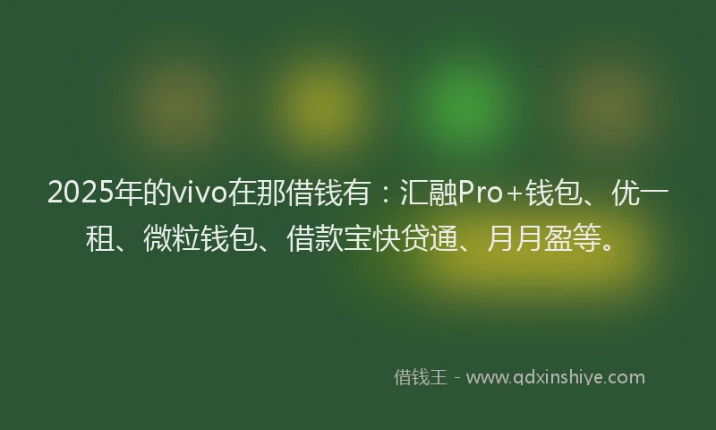 2025年的vivo在那借钱有：汇融Pro+钱包、优一租、微粒钱包、借款宝快贷通、月月盈等。